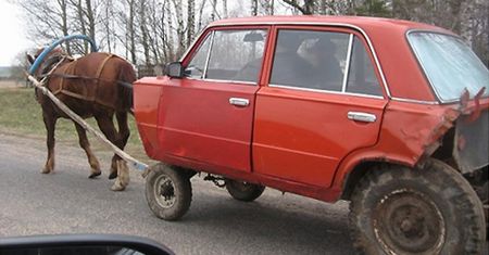 Polak potrafi