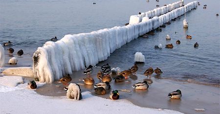 Morze, plaża i śnieg