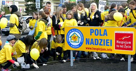 Pola Nadziei