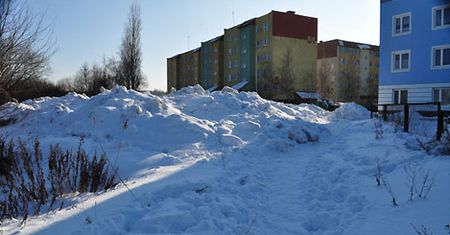 Po pachy w śniegu