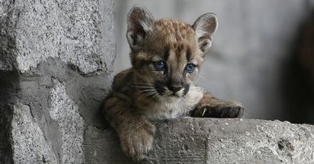 Lato w chorzowskim ZOO