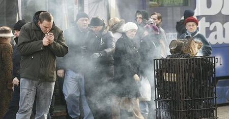 Koksowniki na ulicach Katowic