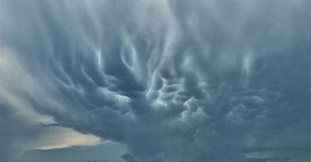 Piękne i niebezpieczne