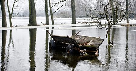 To zdarzyło się w Polsce!