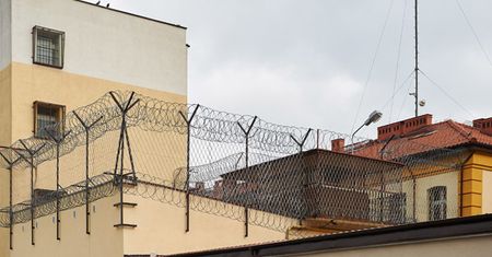 Pomorskie: 8 miesięcy więzienia za skatowanie i próbę zabicia psa