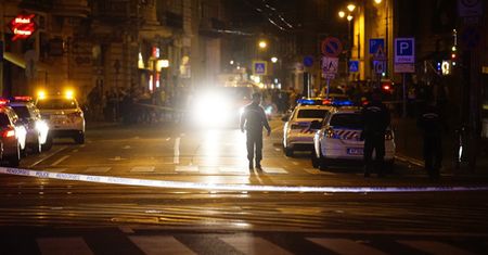 Węgierska policja: celem zamachu byli policjanci