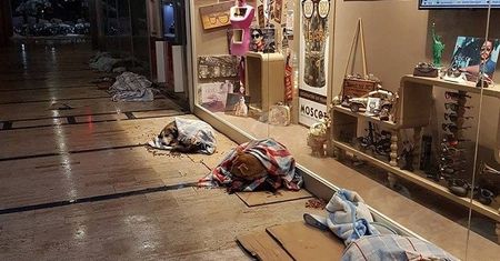 To zdjęcie podbija sieć. Uratowali psy przed mrozem