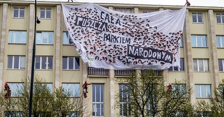 Greenpeace publikuje kolejne dokumenty. Ministerstwo skłamało?
