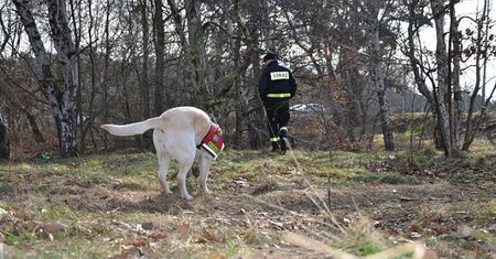 Policja przeszukuje pas nadmorski w Gdańsku. Szuka śladów mordercy 17-letniej Agaty