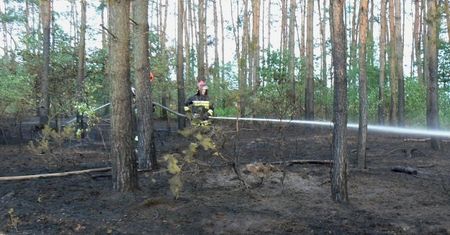 17 razy podpalał lasy w okolicach Konina. Nie wie, dlaczego to robił