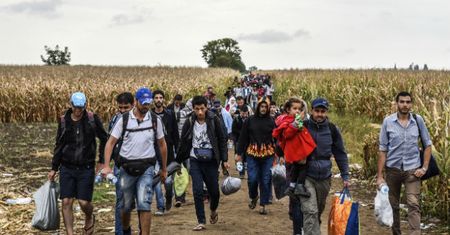 Lekarze czy niewykształceni. Czy będziemy mieli wpływ na to, jacy uchodźcy do nas przyjadą?
