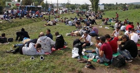 Jak Polska odróżnia uchodźców od imigrantów ekonomicznych?
