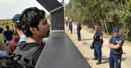 Szlak masowej migracji przebiegnie przez Polskę? Ekspert: to prawdopodobne