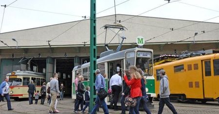 "Gwiazdka na Madalinie". Poznaniacy będą ozdabiać choinkę i wysyłać kartki do ciężko chorych dzieci