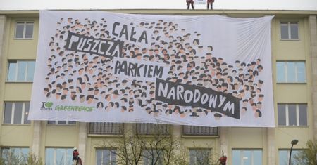 Jan Szyszko o akcji Greenpeace na dachu budynku Ministerstwa Środowiska: chcę im podziękować za promocję, na pewno moje służby już poszły do nich z herbatą