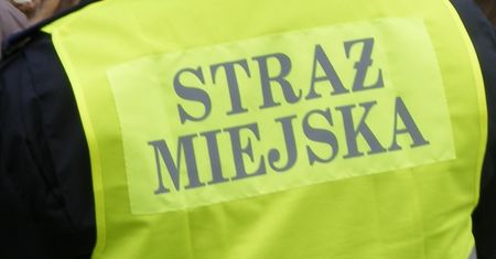 Pedofil zaczepiał dzieci nad Wartą w Poznaniu