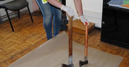 Mieszkaniec Trzemeszna zabił zbłąkaną sarnę siekierą. Grozi mu 5 lat więzienia