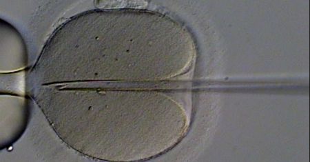 Finansowanie in vitro w Poznaniu nie dla wszystkich par