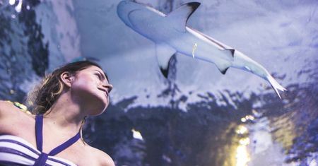 Aquapark Reda zaprasza do wodnego królestwa!