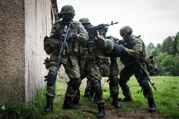 Ćwiczenia Anakonda 2014