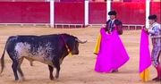 Nie żyje 29-letni hiszpański matador. To pierwszy taki wypadek od 30 lat