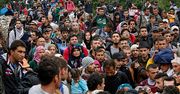 Według Niemiec ok. 30 proc. migrantów fałszywie podaje, że pochodzi z Syrii