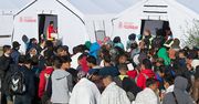 Muzułmańscy uchodźcy w Niemczech. Salafici próbują werbować wyznawców