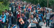 Prezydent Czech za patrolowaniem granicy przez policję i wojsko