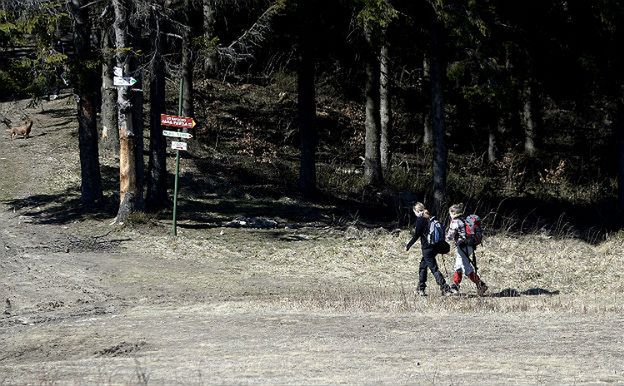 Przewodnicy PTTK odnowią 102 kilometry tras w Beskidzie Sądeckim