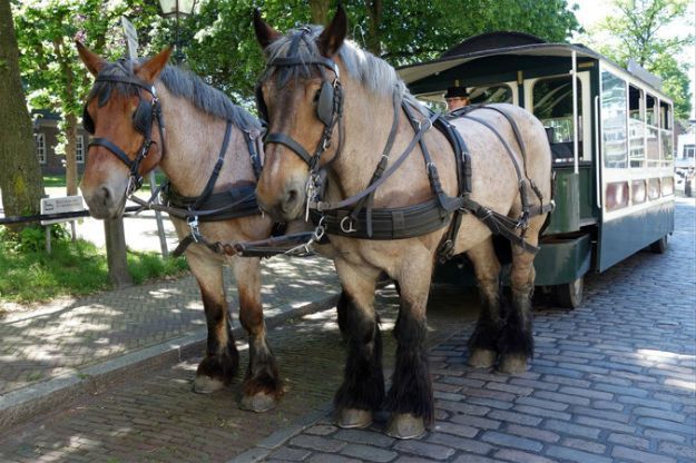 Świebodzice: tramwaj konny powraca na Dolny Śląsk