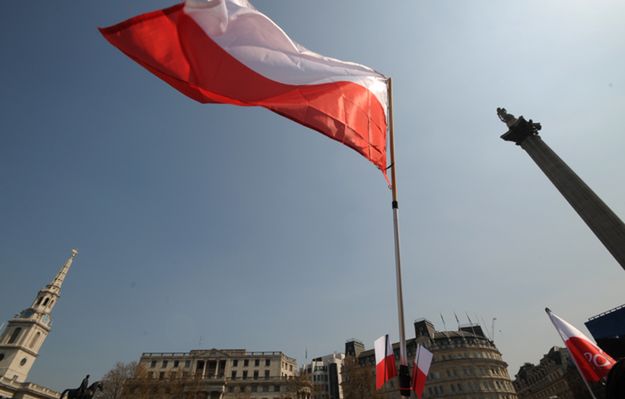 #Polishblood. Polacy planują strajk w Wielkiej Brytanii. Będą oddawać krew
