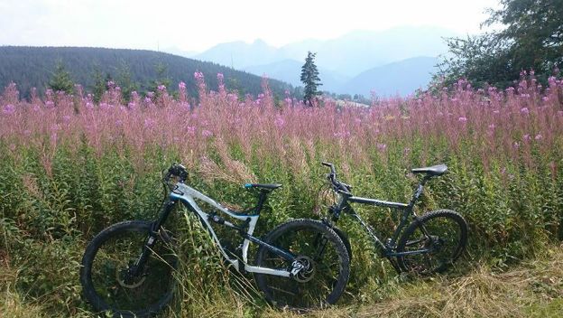 Tatry staną się rowerowym centrum Polski? Będzie nowa trasa wokół gór