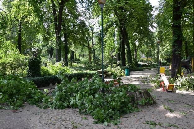 Sobotnia wichura połamała drzewa w Starym Zoo w Poznaniu. Ogród cały czas jest zamknięty