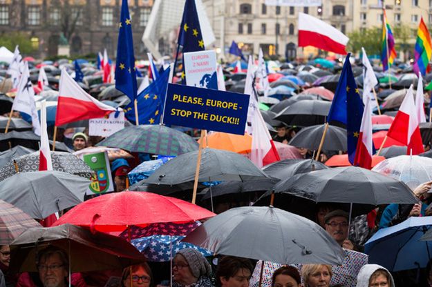 KOD odcina się od skandalicznego wpisu. "To internetowy troll. Popieramy wniosek PiS"