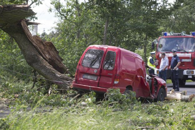 Huraganowy wiatr pustoszy Polskę. Powalone drzewa, zerwane linie energetyczne. 3 osoby nie żyją