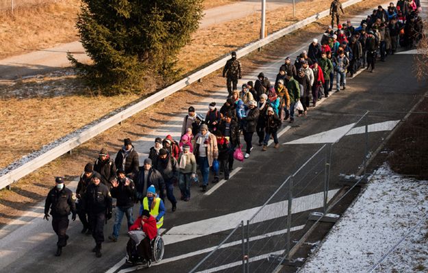 Milosz Zeman: 1500 osób w europejskiej straży granicznej? To śmieszne