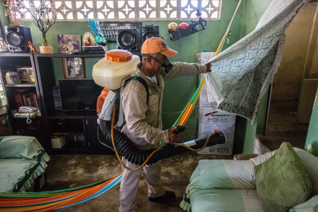 WHO odwołuje stan nadzwyczajny w zw. z epidemią zika