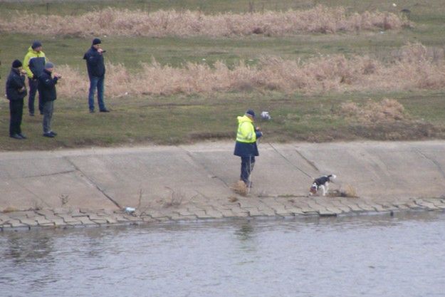 Sprawa zaginięcia Ewy Tylman. Psy tropiące niemieckiej policji szukały śladu 26-latki