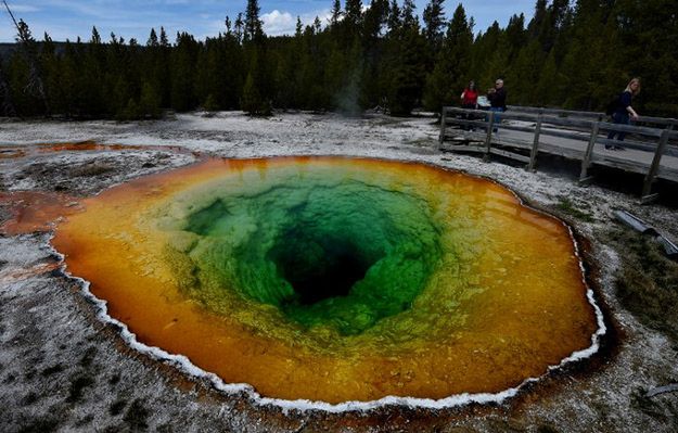 Ciało turysty rozpuściło się w kwaśnym źródle w parku Yellowstone