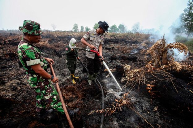 Pożary lasów w Indonezji