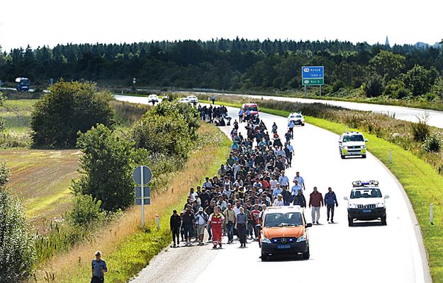 Imigranci maszerują autostradą w Danii. Chcą się dostać do Szwecji