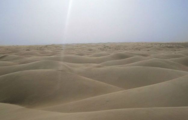 Makabryczne odkrycie na pustyni w Nigrze