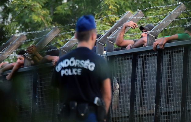 Węgry zbudują drugi płot na granicy z Serbią