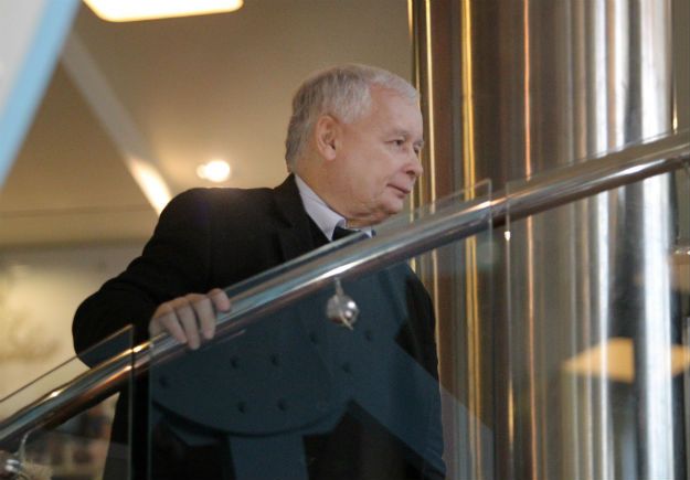 Jarosław Kaczyński zabrał głos w sprawie umowy CETA: obawy nie są uzasadnione