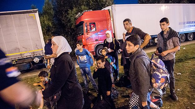Uchodźcy z Syrii zatrzymani na granicy serbsko-węgierskiej