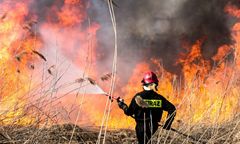Sezon na "głupotę". Pożary łąk i nieużytków zmorą strażaków