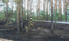 17 razy podpalał lasy w okolicach Konina. Nie wie, dlaczego to robił