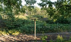 Tomasz Wróblewski: Demony złotego pociągu