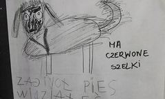 Znalazł się Pako - pies z dziecięcego obrazka. 6-latka z Krakowa poruszyła tysiące internautów