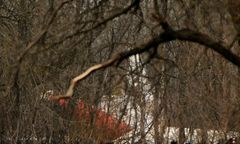 PO w liście do premier pyta o przyczyny zniknięcia raportu dot. katastrofy smoleńskiej